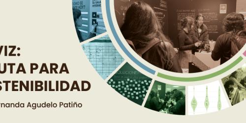 Dataviz: Una ruta para la sostenibilidad
